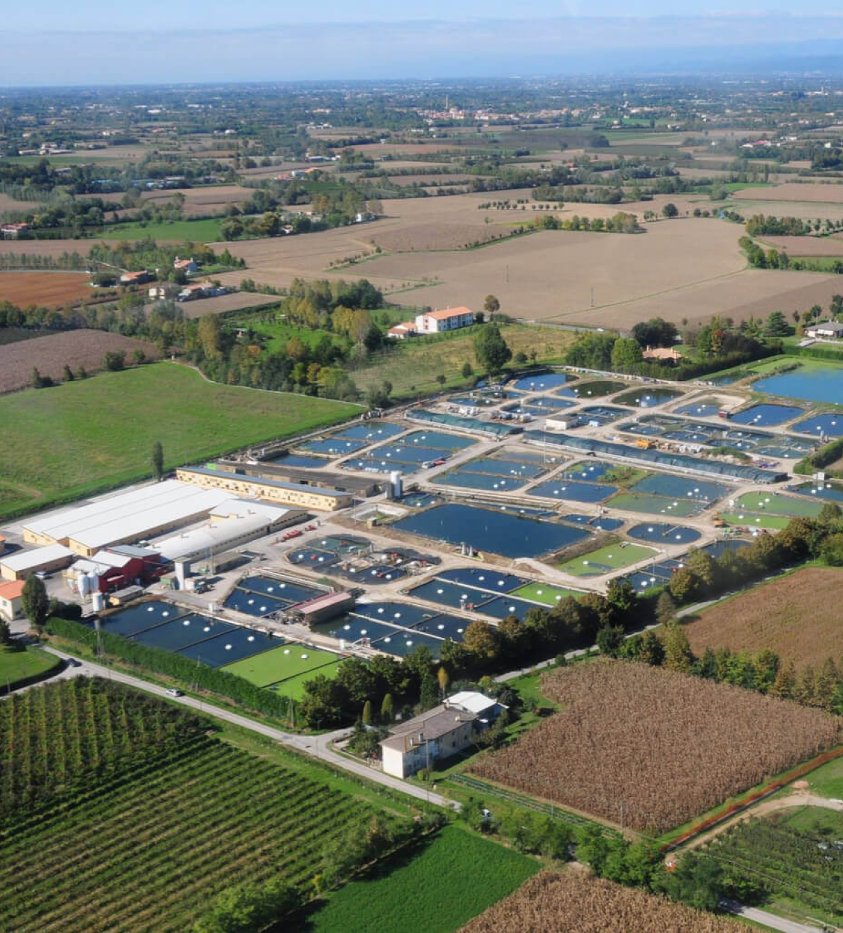 FARM